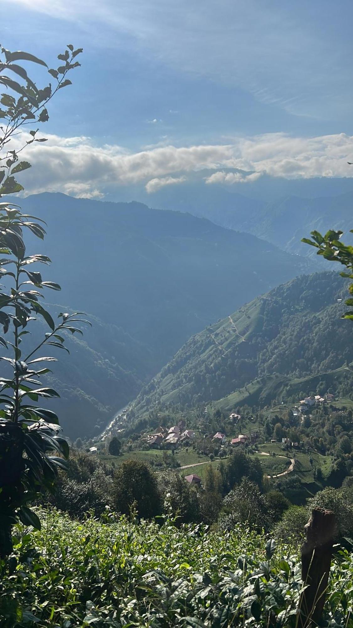 Pera Bungalov Ardesen Bagian luar foto