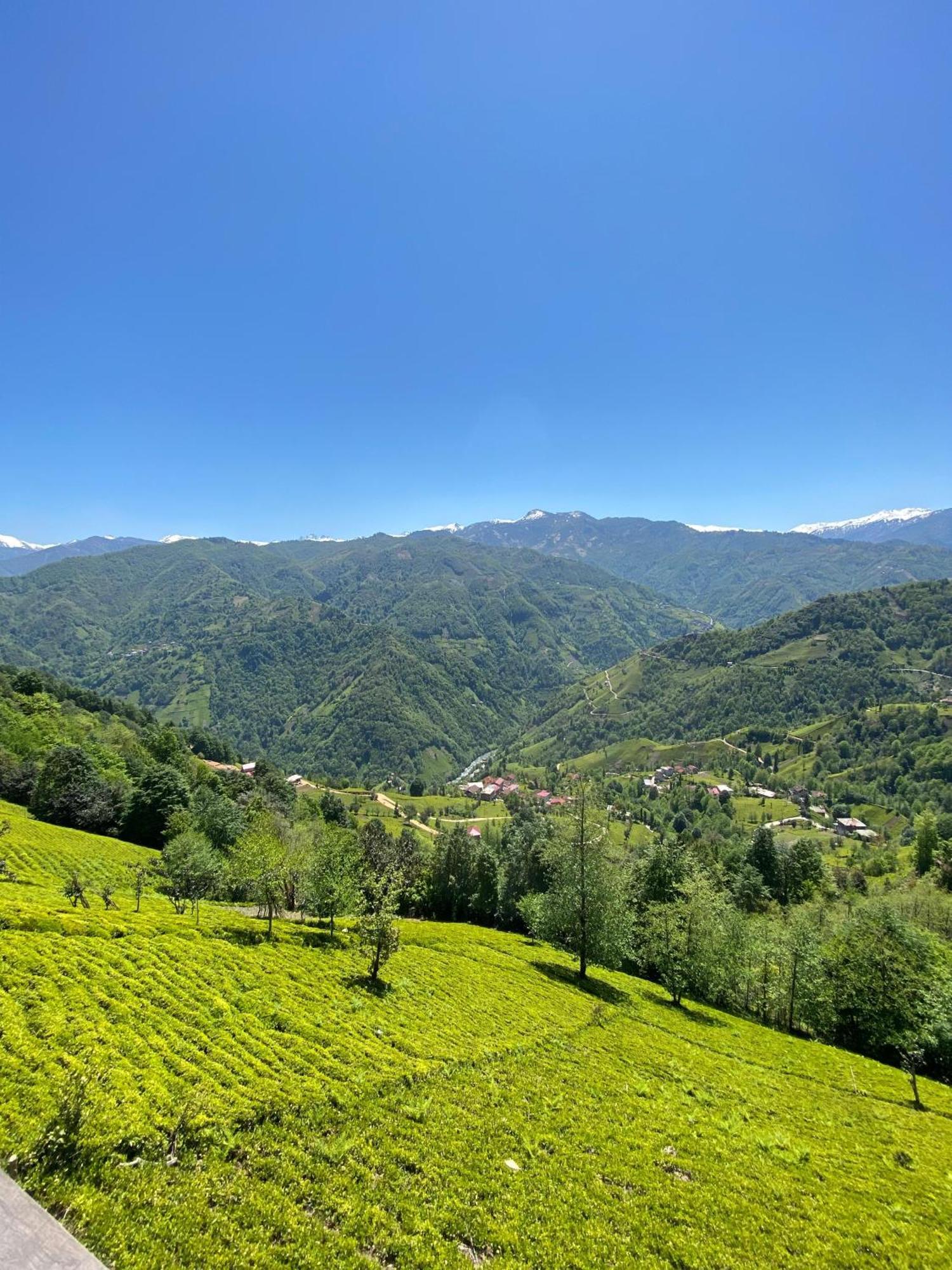 Pera Bungalov Ardesen Bagian luar foto