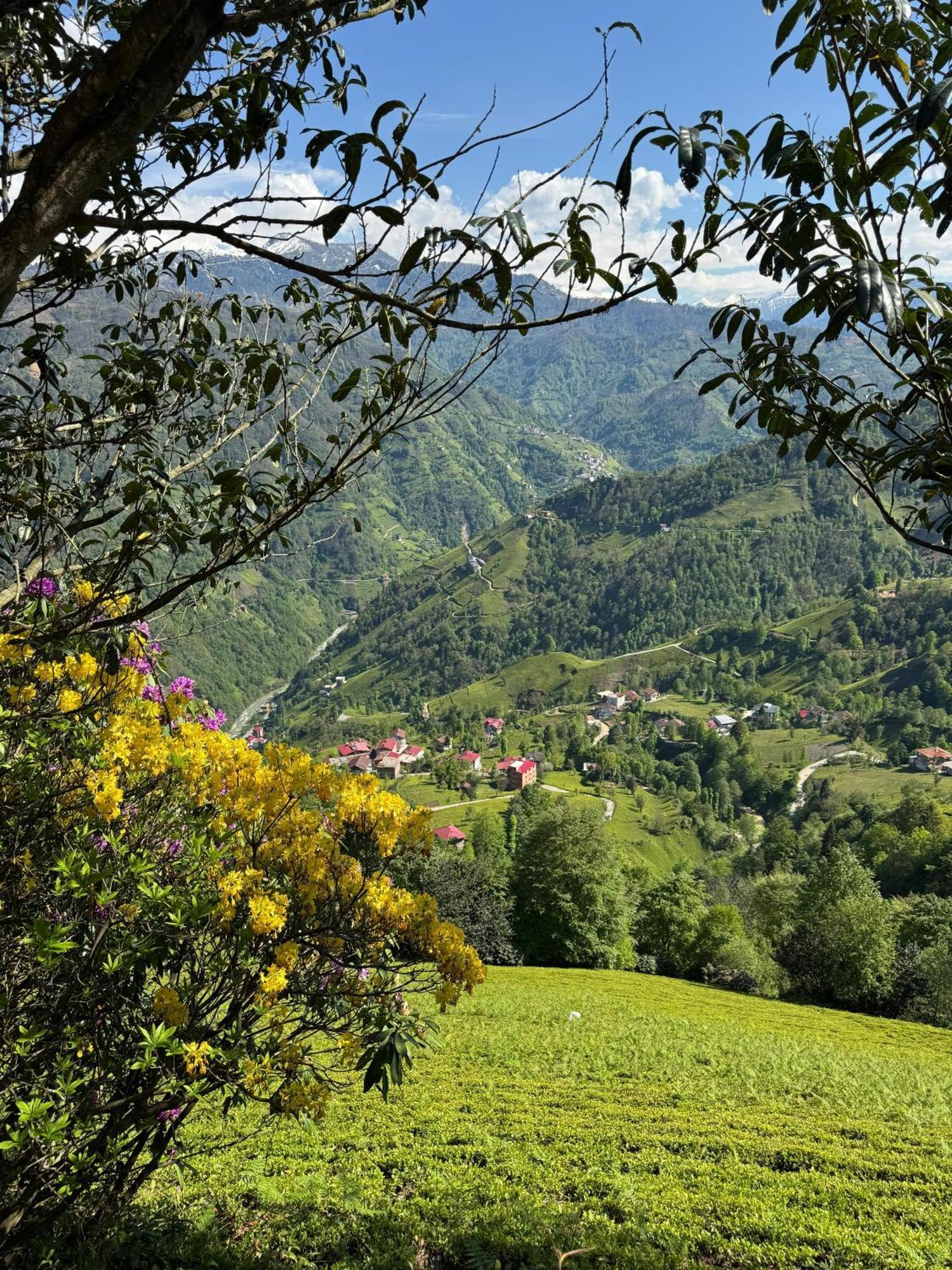 Pera Bungalov Ardesen Bagian luar foto